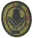Scharfschützenabzeichen (Bundeswehr), flecktarn